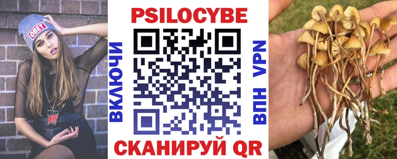 гидра как войти  Обнинск  Галлюциногенные грибы мицелий  закладка 