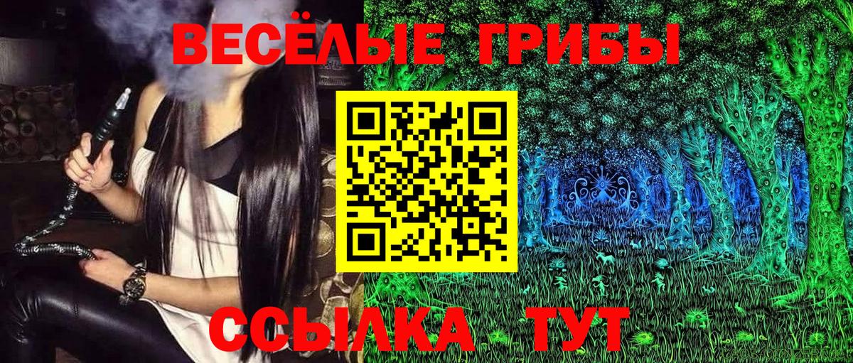 Псилоцибиновые грибы Psilocybe Обнинск