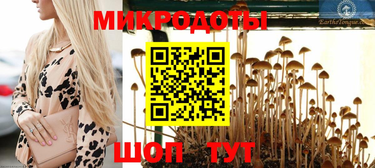 Псилоцибиновые грибы ЛСД  Галлюциногенные грибы GOLDEN TEACHER  Обнинск  Вход с VPN 
